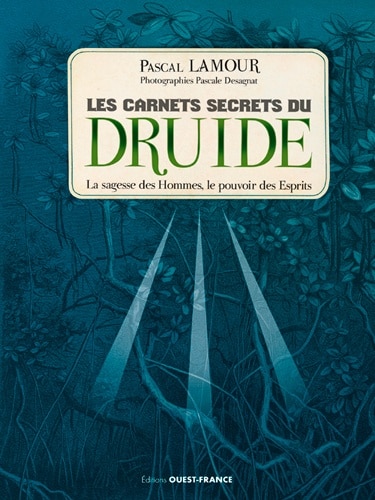 Le monde des druides