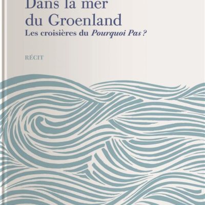 dans la mer du groenland