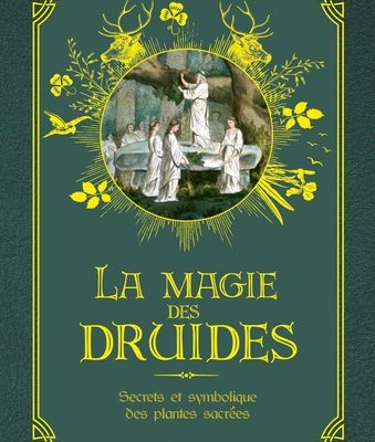 la magie des druides