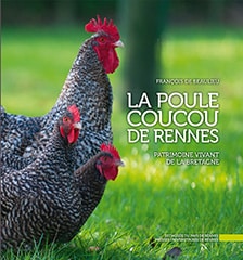la poule coucou