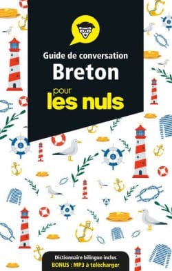 Le breton pour les nuls