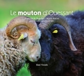 mouton d'ouessant
