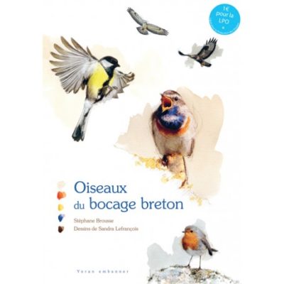 oiseaux du bocage breton