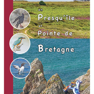 oiseaux en presqu'ile