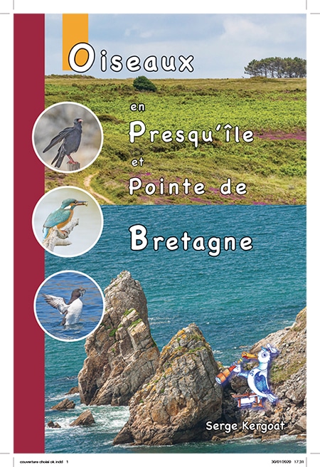 oiseaux en presqu'ile