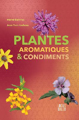plantes aromatiques et condiments