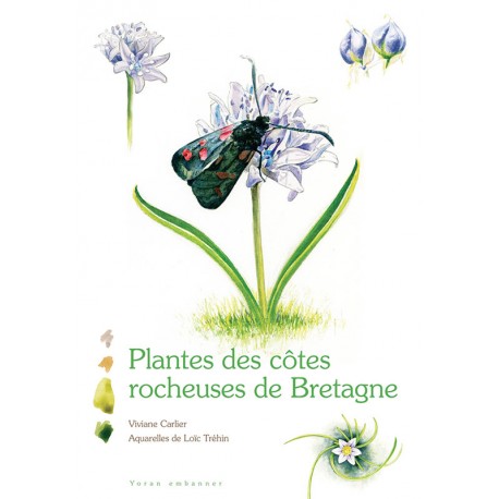 plantes des cotes rocheuses